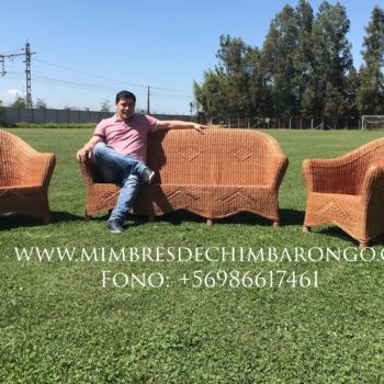 Living de Mimbre Antonio 2