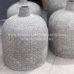 Pintado Gris