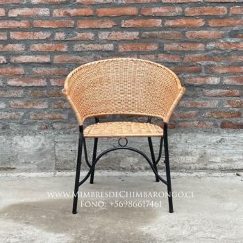 Alternative view of SILLÓN DANIEL