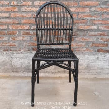 Alternative view of Silla de Colihue Octavio