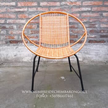 Alternative view of Sillón modelo especial